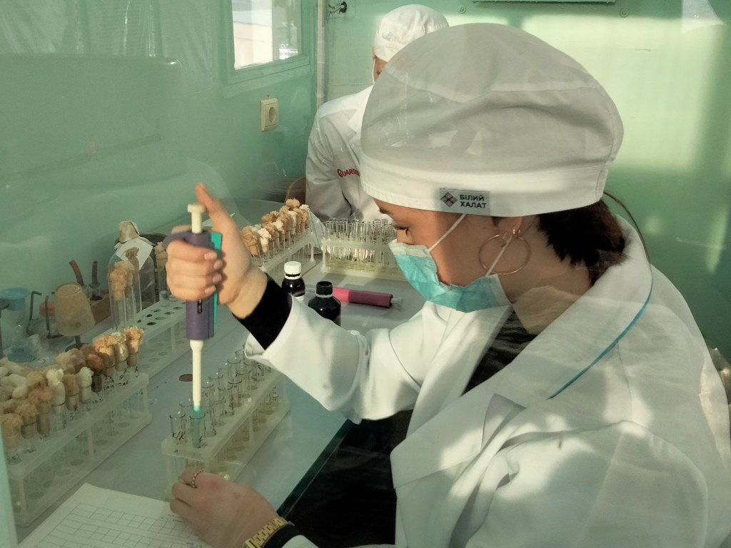 Триває підготовка до студентських наукових конференцій / Preparation for student scientific conferences continues.
