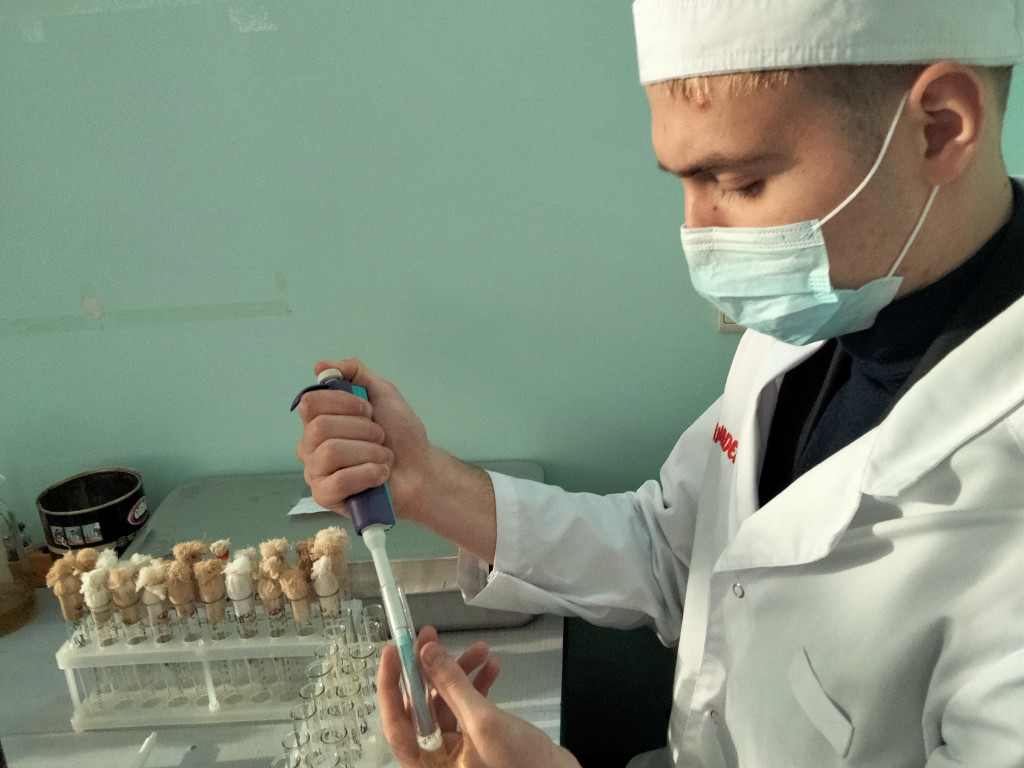 Триває підготовка до студентських наукових конференцій / Preparation for student scientific conferences continues.