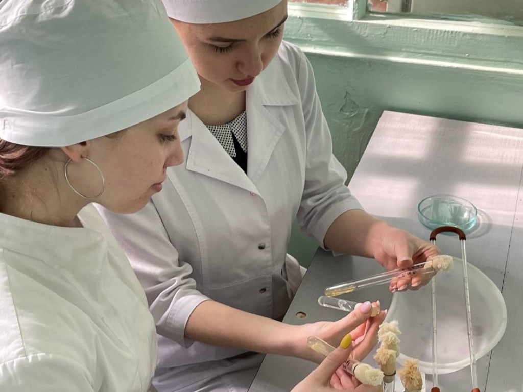 Триває підготовка до студентських наукових конференцій / Preparation for student scientific conferences continues.